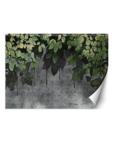 Children's wall mural - Leaves on a concrete background | FEEBY