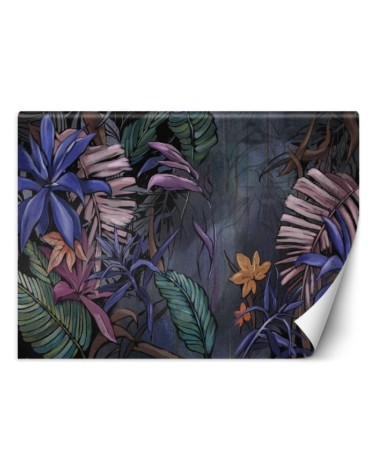 Fototapeta do sypialni - Monstera liście w dżungli  | FEEBY