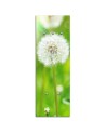 Wieszak Abstrakcja dmuchawiec - feeby.pl