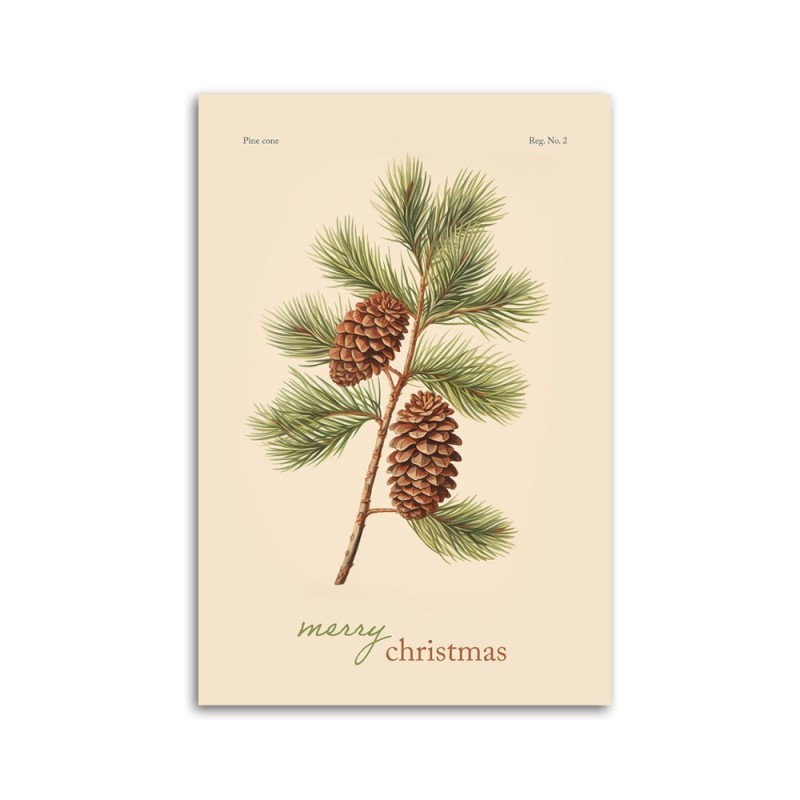 Bild - Tannenzapfen und Aufschrift Frohe Weihnachten | Feeby