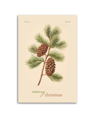 Bild - Tannenzapfen und Aufschrift Frohe Weihnachten | Feeby