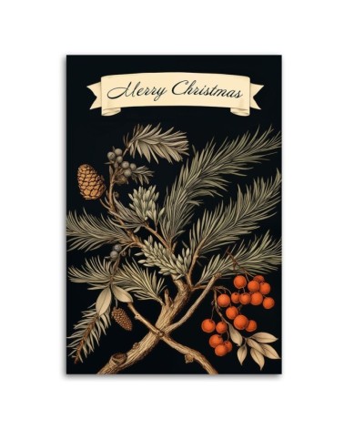 Bild - Zeichen für Frohe Weihnachten und Tannenzweig | Feeby