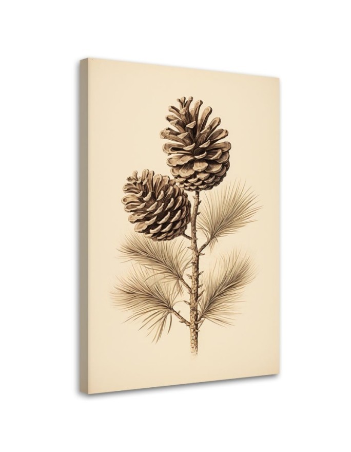 Dekoratives Leinwandbild - Zapfen | Feeby