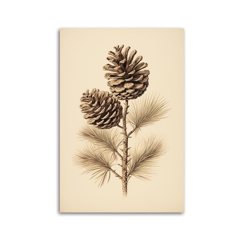 Dekoratives Leinwandbild - Zapfen | Feeby