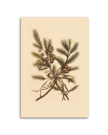 Bild auf Leinwand - Weihnachtszweige | Feeby