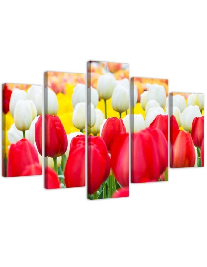 Leinwandbild modern - Tulpe Rot Weiß | Feeby