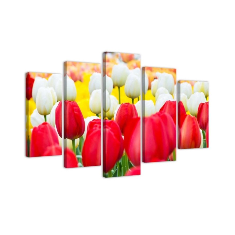 Leinwandbild modern - Tulpe Rot Weiß | Feeby