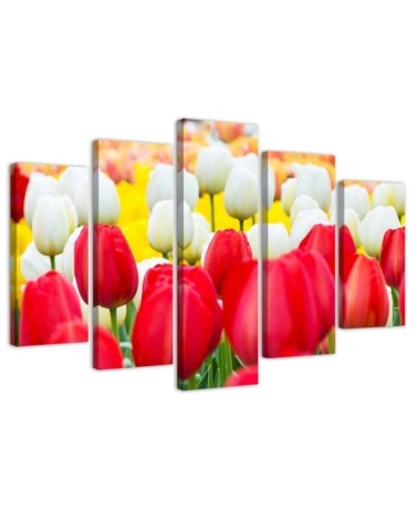 5 Piece Canvas print White and red tulips | FEEBY