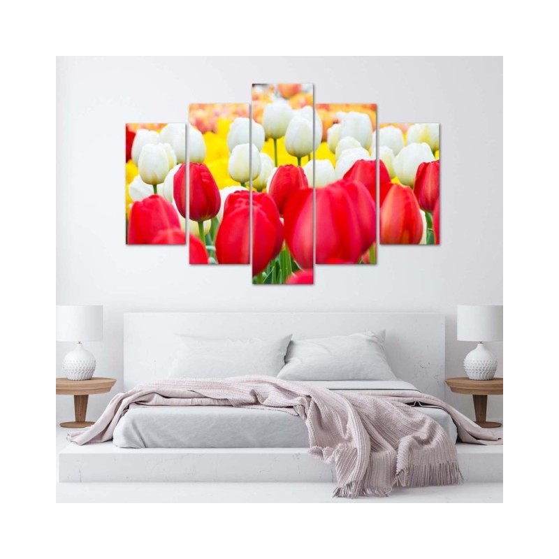 Leinwandbild modern - Tulpe Rot Weiß | Feeby