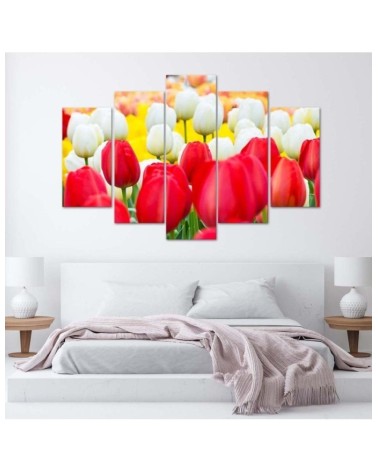 Leinwandbild modern - Tulpe Rot Weiß | Feeby