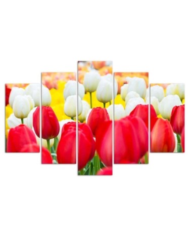 Leinwandbild modern - Tulpe Rot Weiß | Feeby
