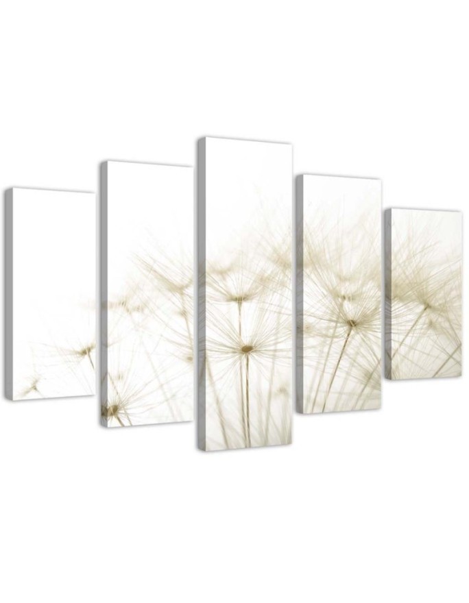 Leinwandbild - Gebläse Blume Natur | Feeby