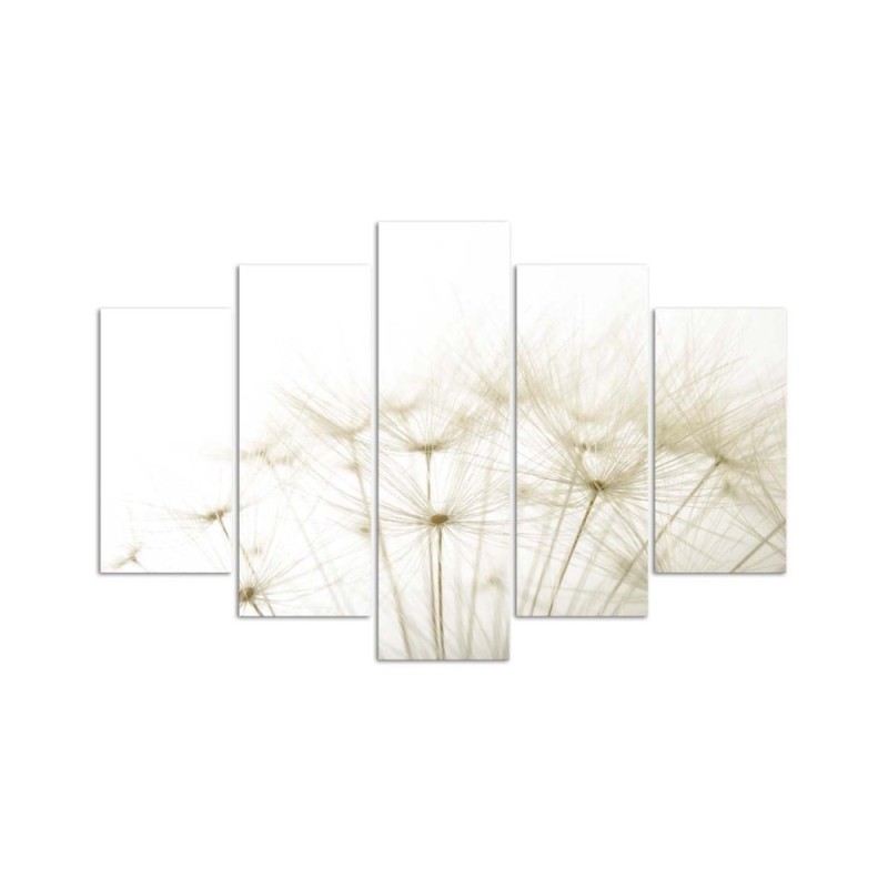 Leinwandbild - Gebläse Blume Natur | Feeby