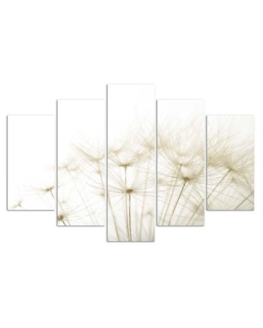 Leinwandbild - Gebläse Blume Natur | Feeby