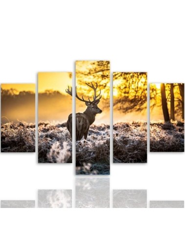 Leinwandbild modern - Hirschwald Sonnenuntergang | Feeby