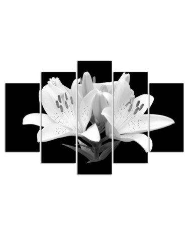 Modernes Wandbild - Weiße Lilien Blumen Natur | Feeby