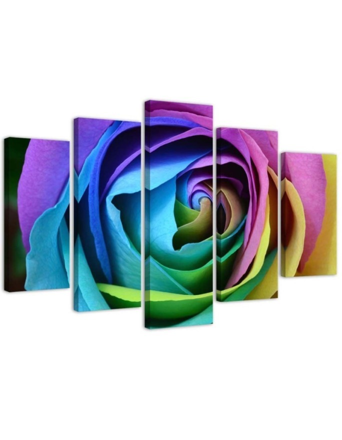 Leinwandbild - Rose Blume Bunt | Feeby