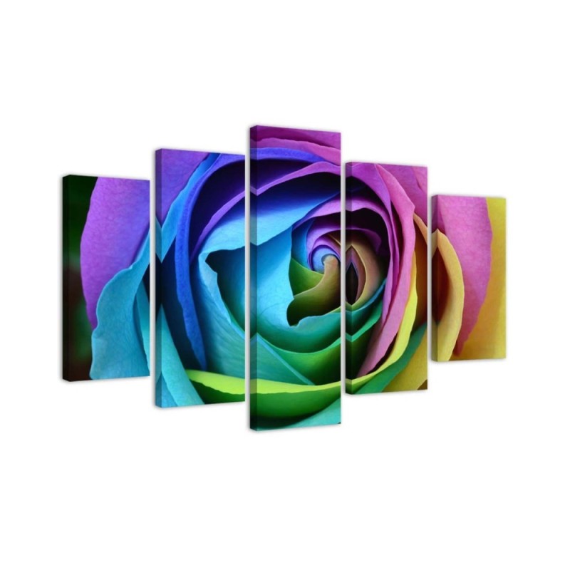 Leinwandbild - Rose Blume Bunt | Feeby