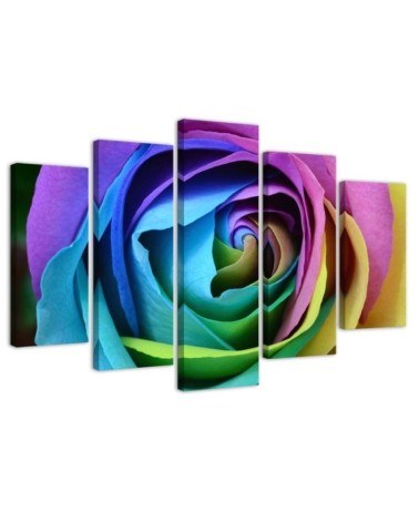 Leinwandbild - Rose Blume Bunt | Feeby