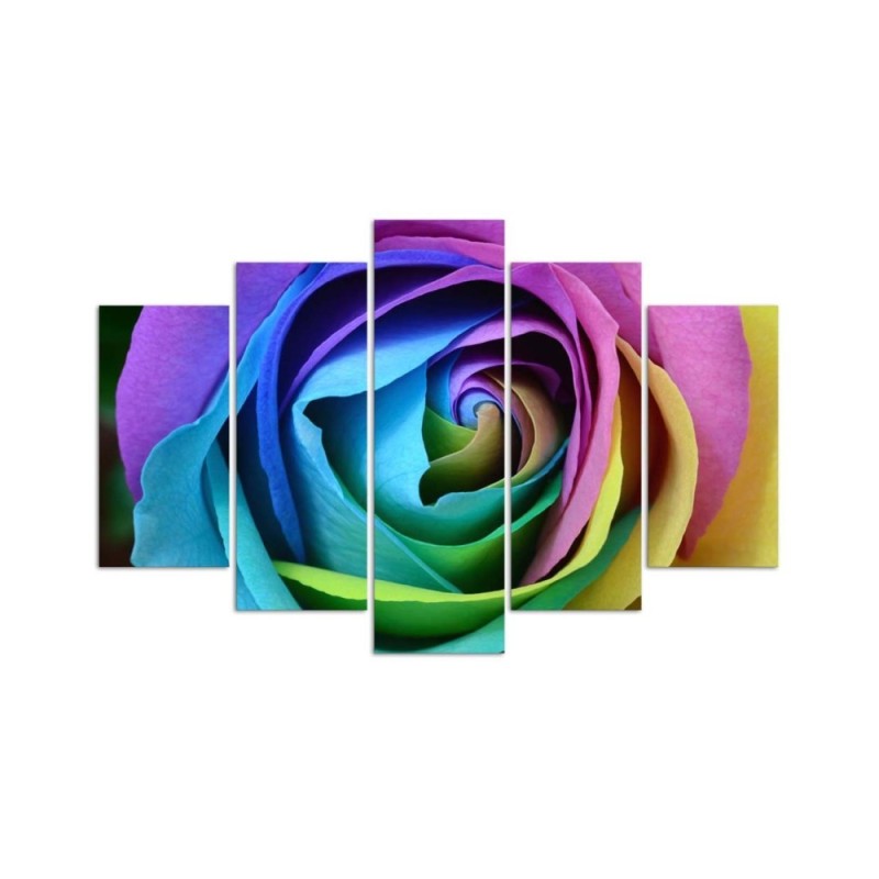 Leinwandbild - Rose Blume Bunt | Feeby