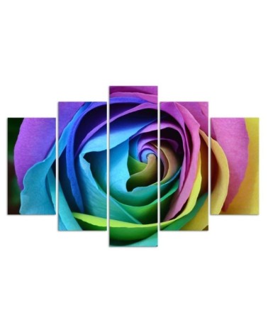 Leinwandbild - Rose Blume Bunt | Feeby