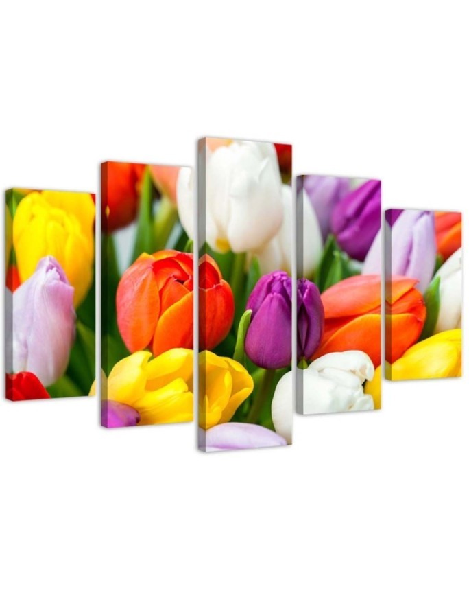 Modernes Wandbild - Bunte Tulpen Blumen | Feeby