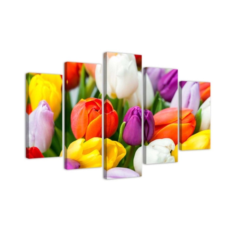 Modernes Wandbild - Bunte Tulpen Blumen | Feeby