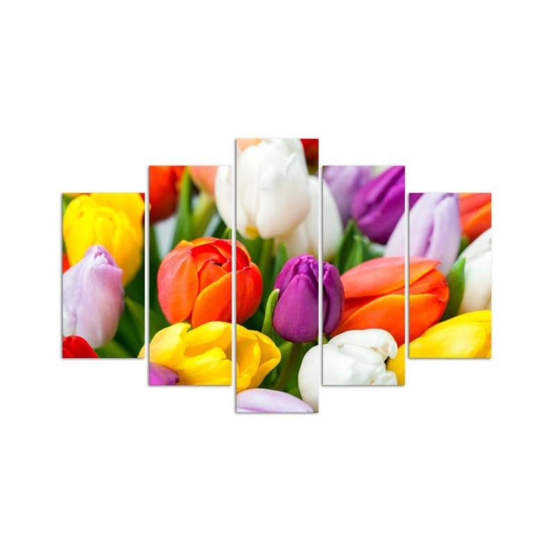 Modernes Wandbild - Bunte Tulpen Blumen | Feeby