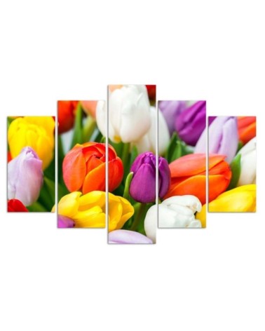 Modernes Wandbild - Bunte Tulpen Blumen | Feeby