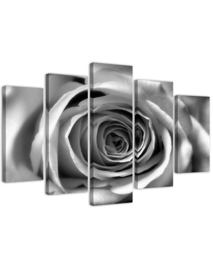 Modernes Wandbild - Rosenblüte Schwarz und Weiß | Feeby