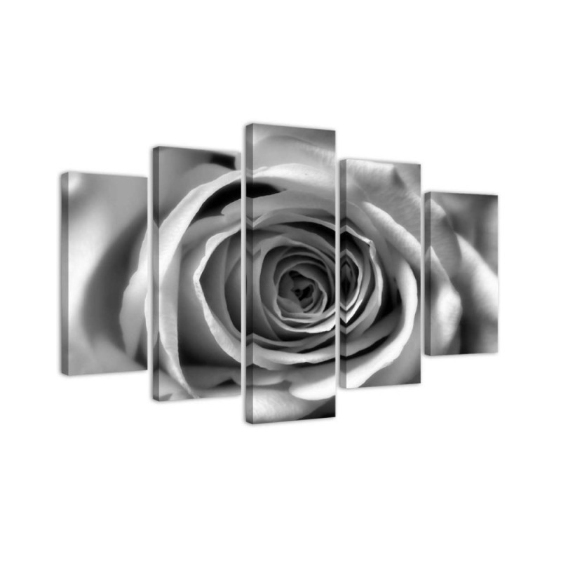 Modernes Wandbild - Rosenblüte Schwarz und Weiß | Feeby