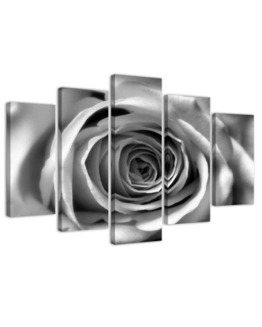 Modernes Wandbild - Rosenblüte Schwarz und Weiß | Feeby