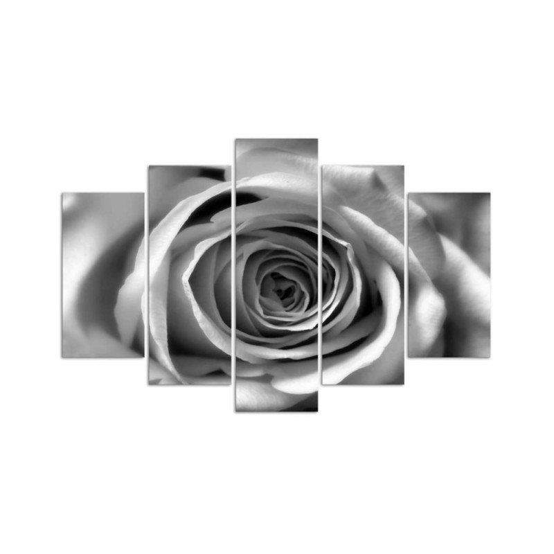 Modernes Wandbild - Rosenblüte Schwarz und Weiß | Feeby