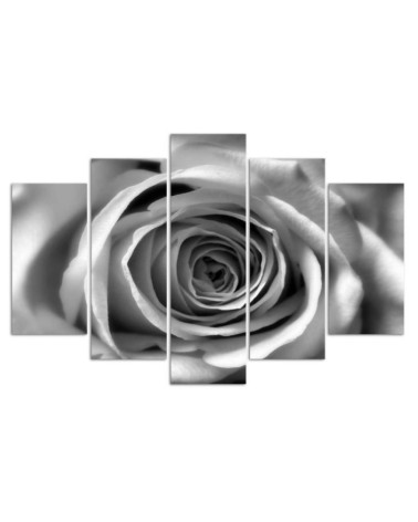 Modernes Wandbild - Rosenblüte Schwarz und Weiß | Feeby