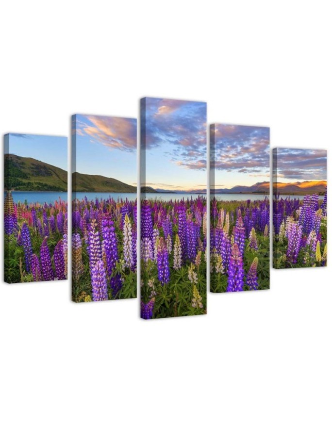 Bild auf Leinwand - Lavendel See Blumen | Feeby