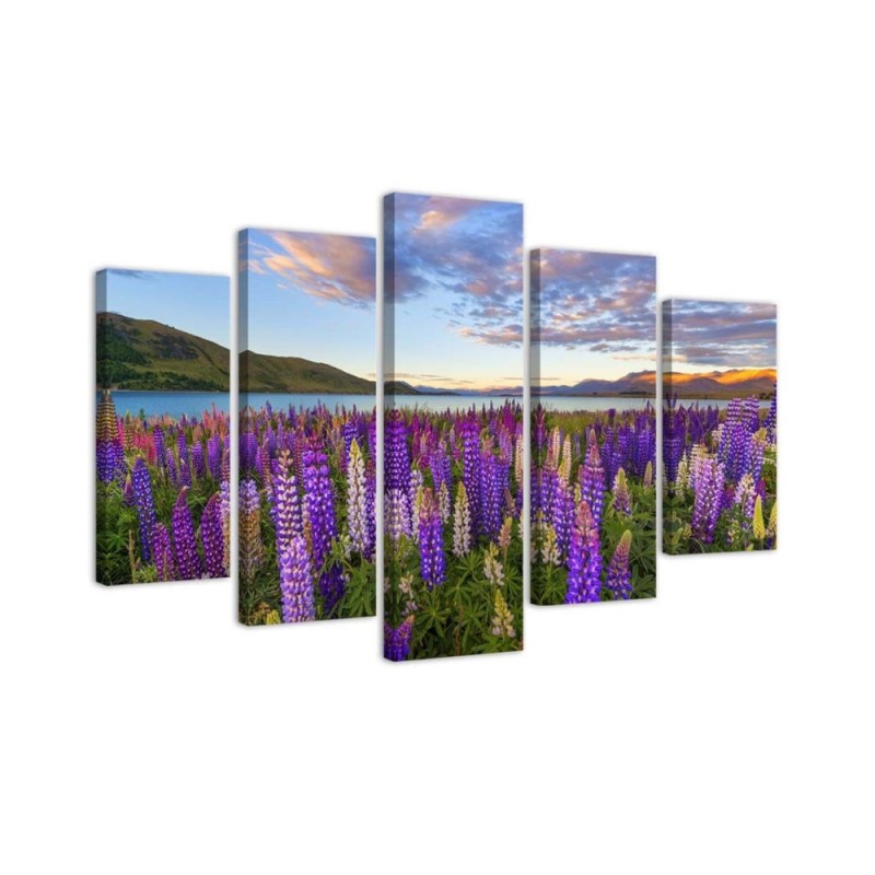 Bild auf Leinwand - Lavendel See Blumen | Feeby