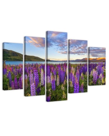 Canvas print 5 parts Field of lavender flowers for living room wall | FEEBY