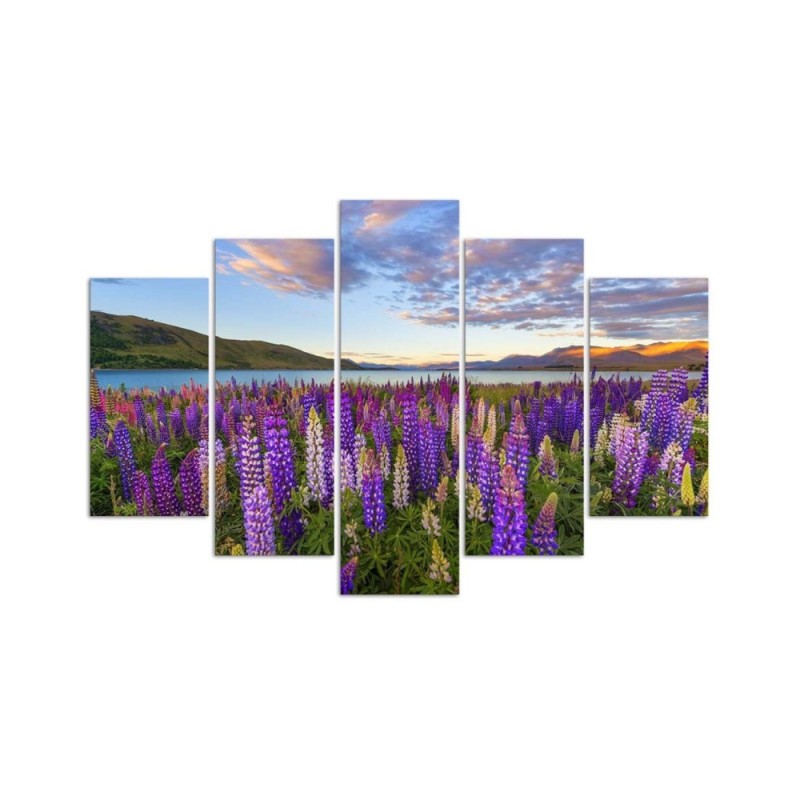 Bild auf Leinwand - Lavendel See Blumen | Feeby