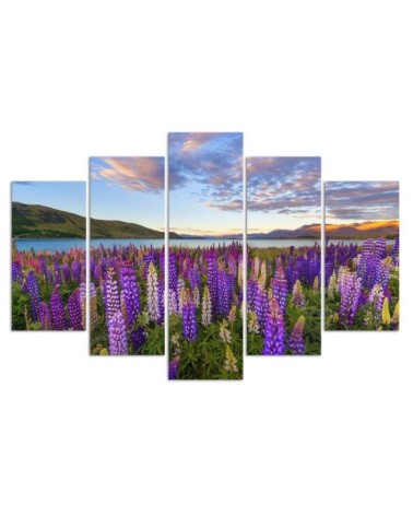 Bild auf Leinwand - Lavendel See Blumen | Feeby