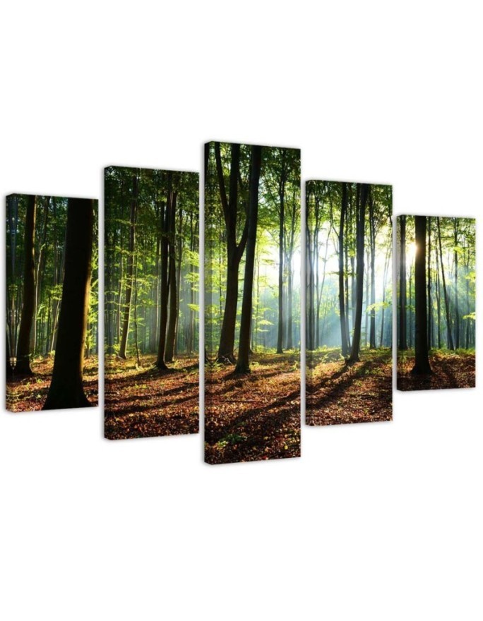 Leinwandbild - Waldgrün Natur | Feeby