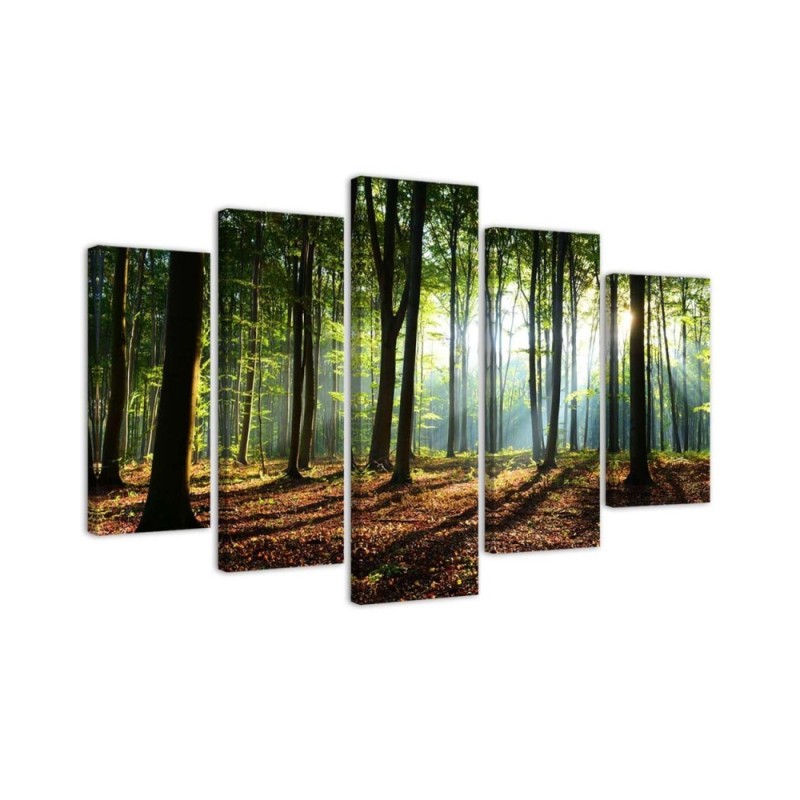 Leinwandbild - Waldgrün Natur | Feeby