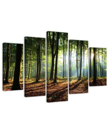 Canvas print modern Sunshine in the forest for office, living room | FEEBY