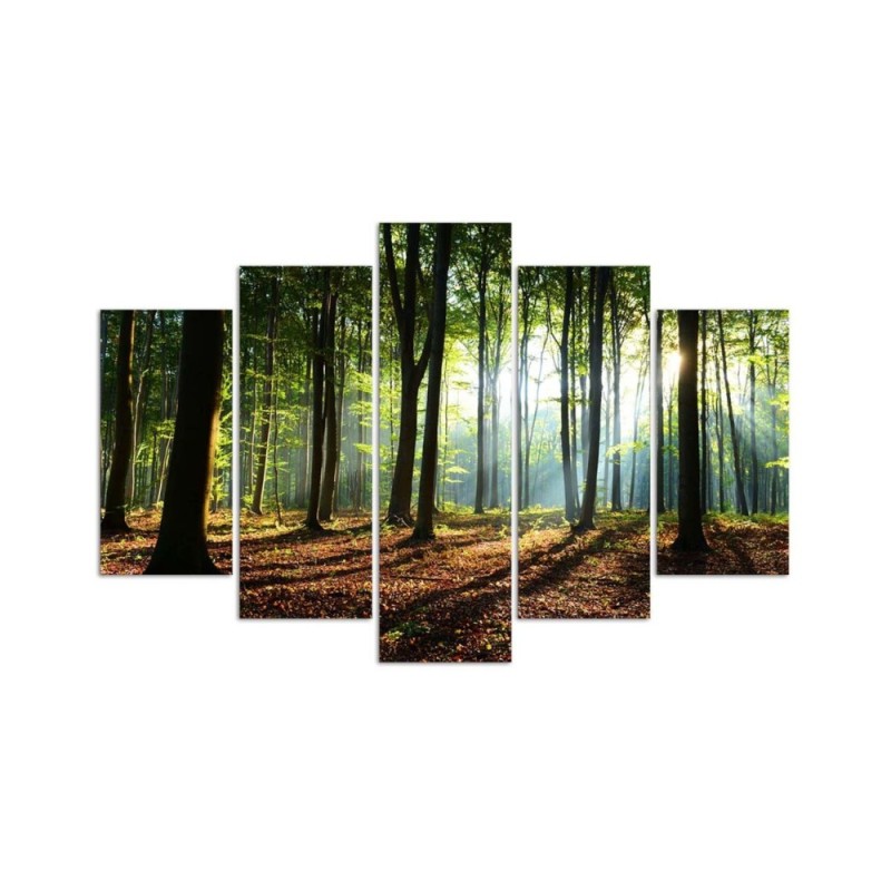 Leinwandbild - Waldgrün Natur | Feeby