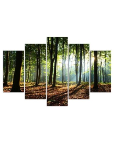 Leinwandbild - Waldgrün Natur | Feeby