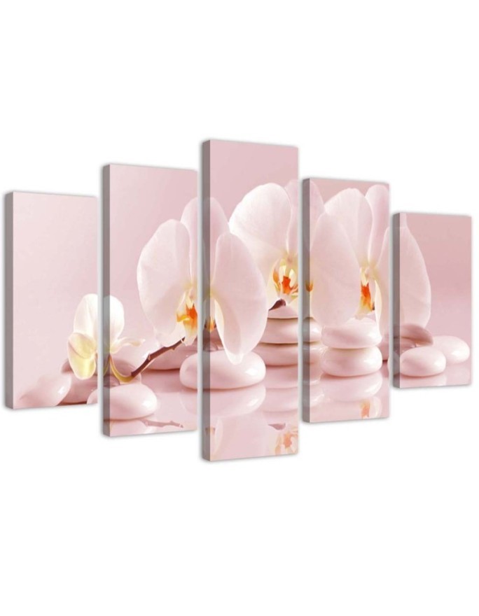 Leinwandbild - Rosa Blume Orchidee | Feeby