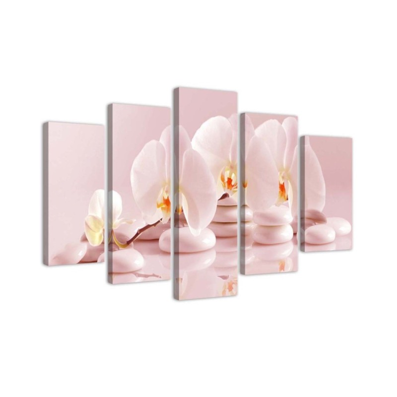 Leinwandbild - Rosa Blume Orchidee | Feeby