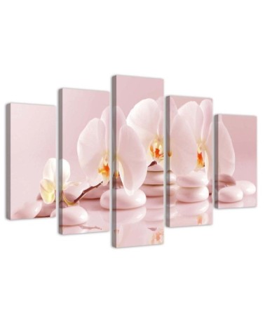 5 Piece Canvas painting Orchid on stones pink for living room | FEEBY