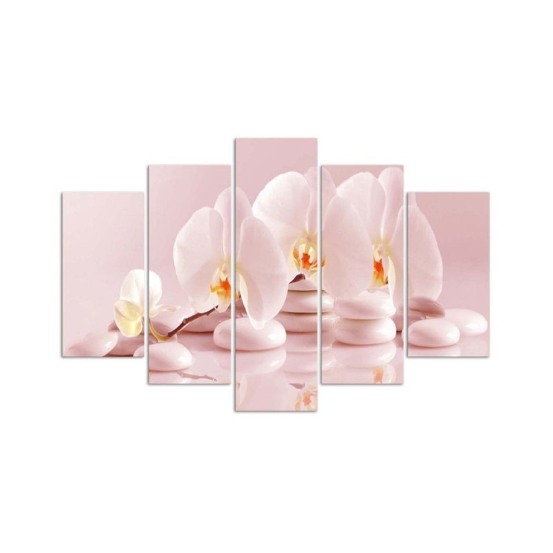 Leinwandbild - Rosa Blume Orchidee | Feeby