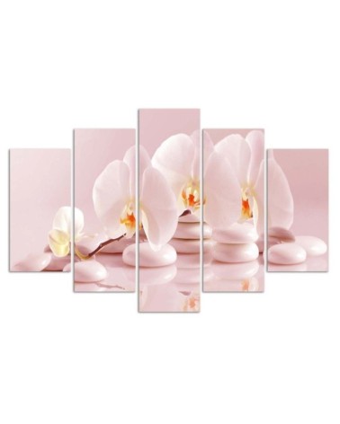 Leinwandbild - Rosa Blume Orchidee | Feeby