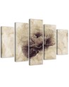 Vintage flower 5 piece wall painting for living room | FEEBY